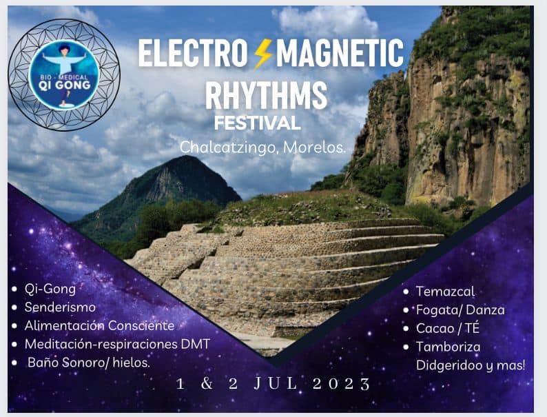 Electro-Magnetic Rhythms FESTIVAL (1 y 2&nbsp;julio)